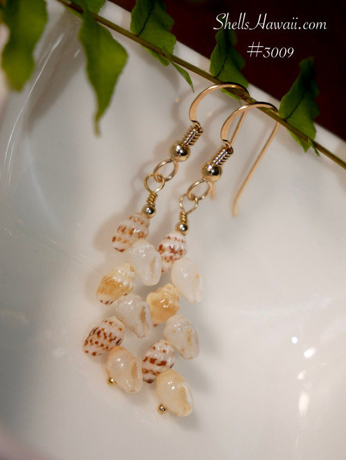 Niihau shell earrings minimalist style with creamy white and brown spotted shells lightweight Hawaiian jewelry gift