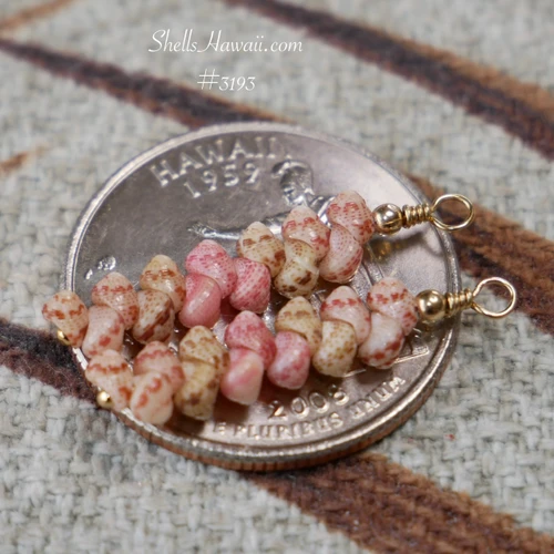 Niihau Kahelelani shell earrings on coin size reference with tiny shells in keʻokeʻo pink and light green tones, delicate minimalist drop Hawaiian shell jewelry, budget-friendly Niihau jewelry meaningful gift under 150