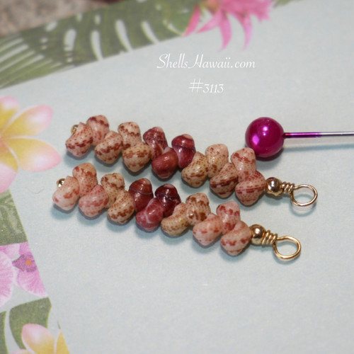 hawaiian shell earrings niihau kahelelani shells small drop earrings natural seashell jewelry everyday wear