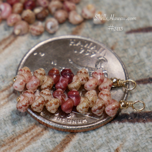 nier_3113
niihau shell earrings kahelelani shells minimalist hawaiian shell earrings lightweight dainty jewelry gift