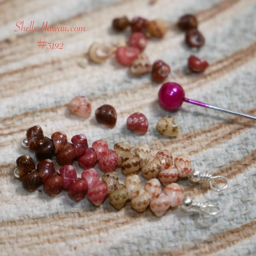 nier_3192
Kahelelani shells from Niʻihau in ombré colors including black, brown, burgundy, pink, green and keʻokeʻo, arranged on soft neutral background with pink pin tool, showing Hawaiian shell jewelry making process