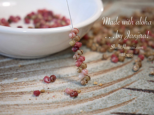 nier_3118
Niihau Kahelelani shells strand green pink burgundy keokeo showing natural shell variation Hawaiian shell jewelry