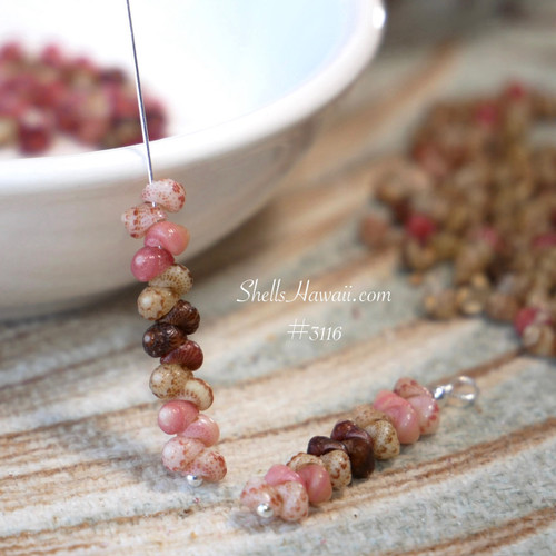 Niihau Kahelelani shells strand brown makue pink green keokeo showing natural variation Hawaiian shell jewelry