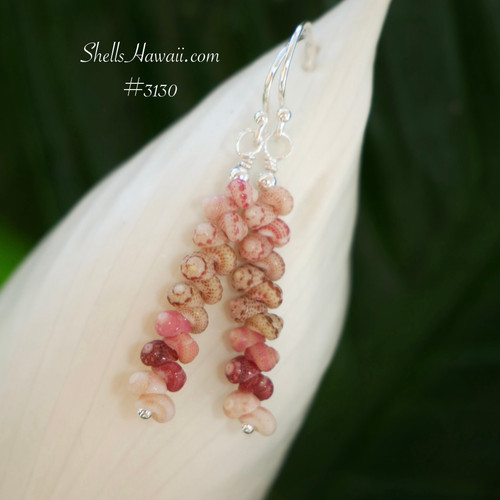 Lightweight Kahelelani shell earrings made with shells from Niihau in soft natural multicolor mix, minimalist island jewelry displayed on leaf