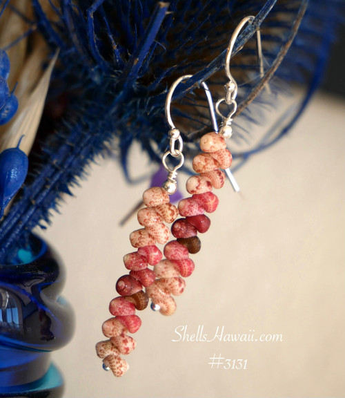 nier_3131
Lightweight Hawaiian shell earrings from Niihau in simple island style, keokeo, pink and burgundy tones displayed on blue background