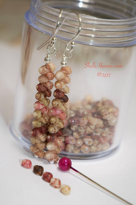 Modern simple island style Kahelelani shell earrings made with shells from Hawaii in light brown, burgundy, pink and green, jar and pin detail