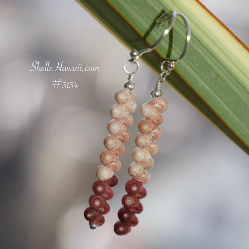 nier_3134
Burgundy and light natural brown Kahelelani shell earrings made with shells from Kauai, 軽くて上品なハワイアンジュエリー perfect for everyday wear