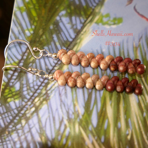 Kahelelani shell earrings made with shells from Kauai in burgundy and light natural brown minimalist island style jewelry on tropical background