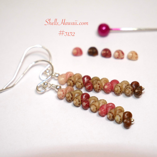 Kahelelani shell earrings from Niihau on white background with pin detail, minimalist drop earrings in dark brown, green, pink, red burgundy and keokeo, lightweight island style shell jewelry, sterling silver hooks