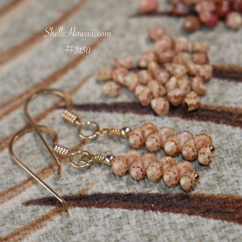 nier_3150
Niihau shell earrings with loose Kahelelani shells light green undertone authentic Hawaiian shell jewelry 14k gold filled hooks close up detail