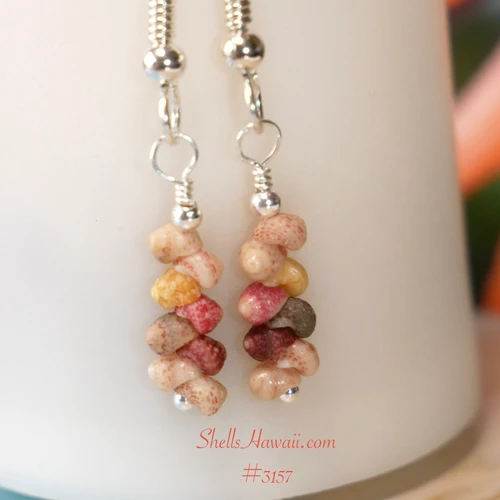 nier_3157
Minimalist Kauai shell earrings hanging on white stand natural Kahelelani shells Hawaiian jewelry gift for her