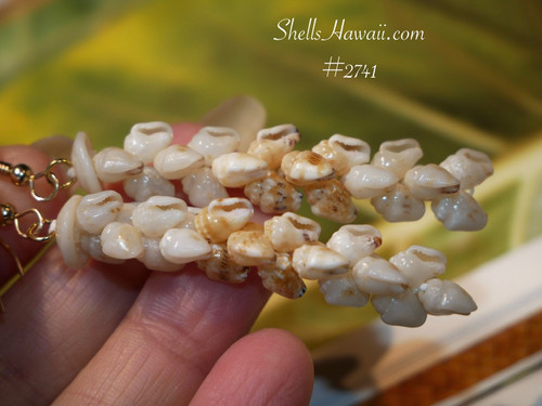 Authentic Niʻihau shell Pikake style earrings with Keʻokeʻo and Lenalena Momi shells tropical inspired Hawaiian jewelry (ニイハウシェル)