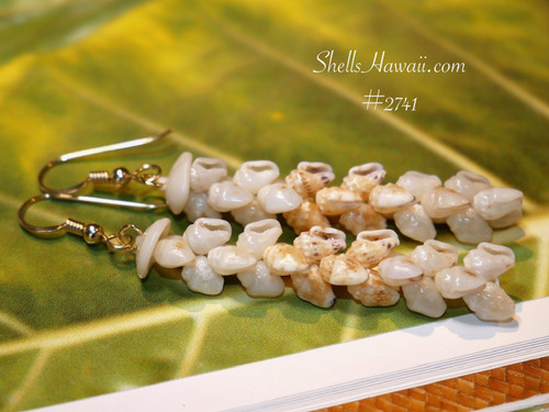nier_2741
Traditional Pikake Niʻihau shell earrings made with off white Momi shells with light blue undertone and yellow Lenalena Momi Hawaiian shell jewelry (貝殻ピアス)