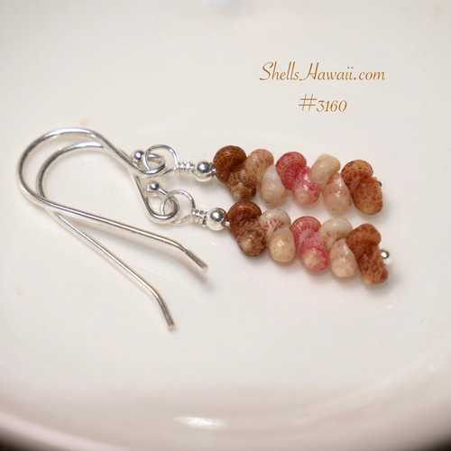 Kahelelani shell earrings lay flat showing natural brown chocolate off white and pink shells in a neat minimalist drop design, meaningful Hawaiian shell earrings gift