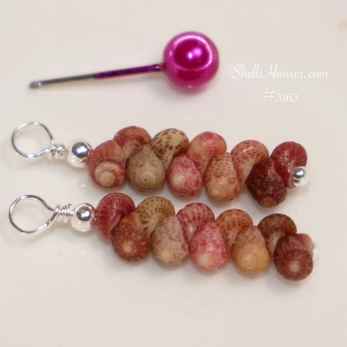 Kahelelani shell earrings hanging on head pin show size comparison of how tiny Kahelelani shells are, featuring burgundy natural brown pink and green shells in a neat drop design, tiny colorful Hawaiian shell jewelry gift under $100
