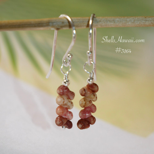 Kahelelani shell earrings hanging on hook showing soft pink light green and burgundy shells, lightweight everyday Hawaiian jewelry, small Hawaiian shell earrings gift