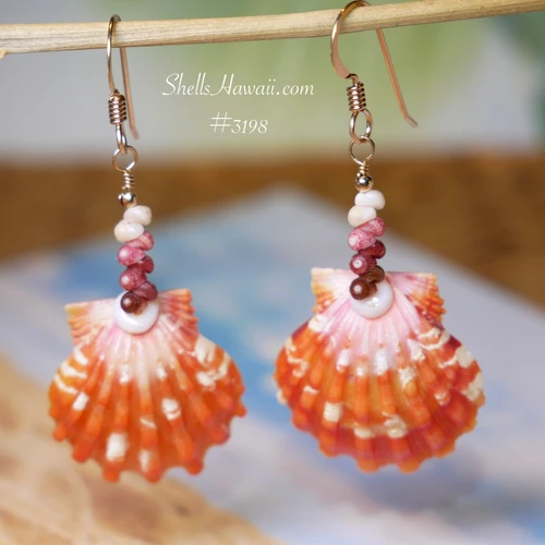 nier_3198
Hawaiian sunrise shell earrings with Kahelelani shells in ombre drop style, bright orange shell with crisp white pattern and pink Niʻihau shells, gift under $200