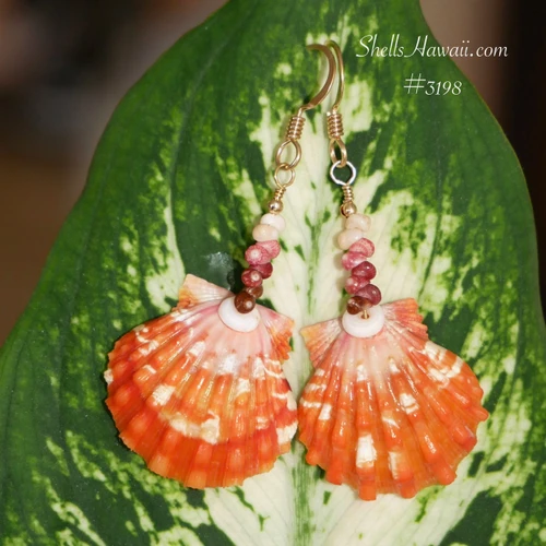 Close up of sunrise shell showing vivid orange color with sharp white lines, paired with tiny Kahelelani shells in brown and pink tones, Hawaiian shell jewelry