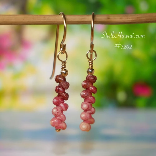 nier_3202
Ombre Niihau Kahelelani shell earrings in pink, red, and burgundy tones, made with tiny size 10 shells in 3/4 inch minimalist drop style with 14k gold filled hooks. Hawaiian shell earrings gift under $100