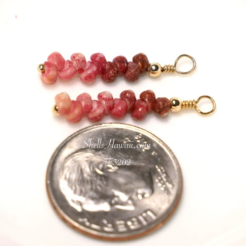 Tiny Kahelelani shell earrings from Niihau shown next to a dime for size comparison, featuring ombre pink, red, and burgundy size 10 shells in a 3/4 inch drop design. Handcraft tiny shells from Hawaii