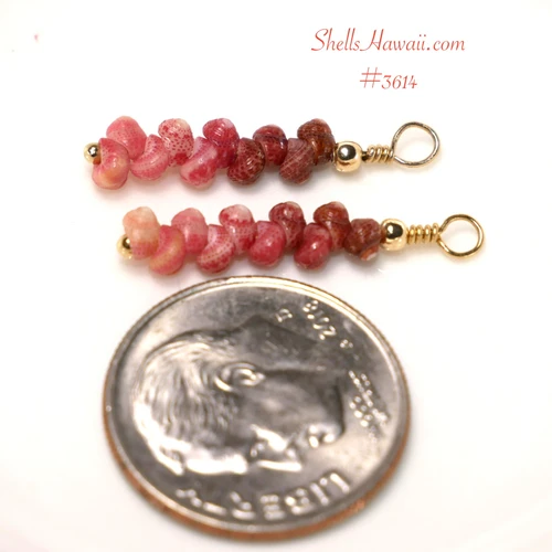 Tiny Niihau Kahelelani shell earrings shown next to a dime for size comparison, featuring pink and burgundy size 10 shells in a 3/4 inch ombre minimalist drop design.
