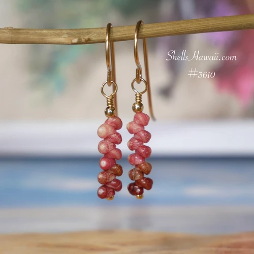 nier_3610
Tiny Kahelelani shell earrings shown next to a U.S. dime for size comparison, handcrafted with small Niihau shells in brown, burgundy and pink, size 10 shells in a 3/4 inch drop design with 14k gold filled hooks, Niihau shell gift under $100.