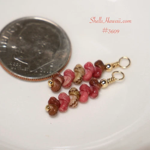 Tiny Kahelelani shell earrings shown next to a U.S. dime for size comparison, featuring brown, pink and green Niihau shells in size 10, handcrafted into a 3/4 inch minimalist drop design with 14k gold filled hooks, dainty Hawaiian shell jewelry.