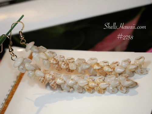 nier_2758
3 1/4 inch traditional Niihau Pikake style shell earrings handmade with blue Uliuli yellow Lenalena and brown spotted momi shells Hawaiian seashell jewelry ShellsHawaii