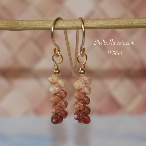 nier_3616
Tiny Kahelelani shell earrings in ombre off white, burgundy and dark brown tones shown next to a coin for size comparison, Hawaiian shell earrings gift for her under $100