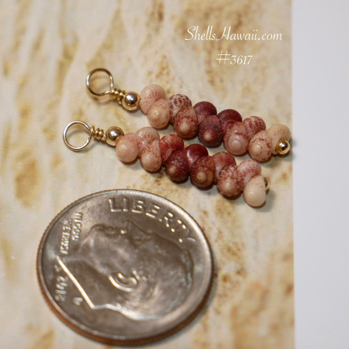 Tiny Kahelelani shell drop earrings in off white, darker brown and burgundy colors shown next to coin for size comparison, Hawaiian shell earrings gift for her under $100