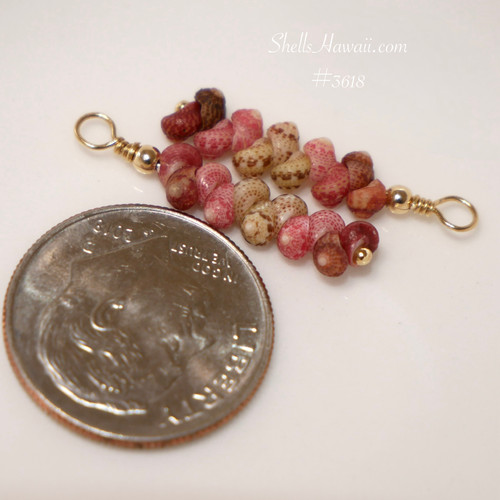 Mini Hawaiian shell earrings featuring Kahelelani shells in burgundy, pink and green tones shown next to a coin for size comparison, closeup highlights color pattern, shell quality and detailed workmanship, 3/4" drop with 14k gold filled wire, Hawaiian shell jewelry gift for her under $100