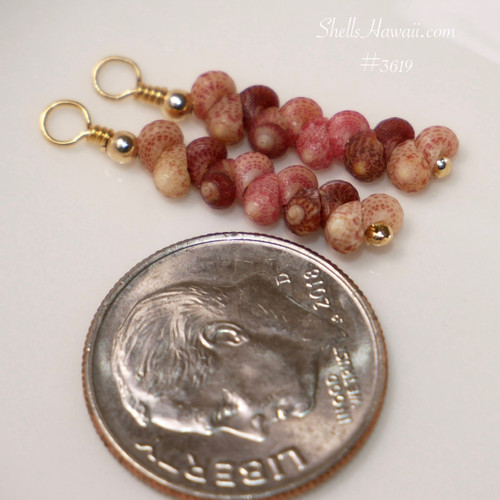 Dainty mini Hawaiian shell drop earrings with Kahelelani shells in brown, burgundy and pink colors, lightweight 3/4" style finished with 14k gold filled hooks,