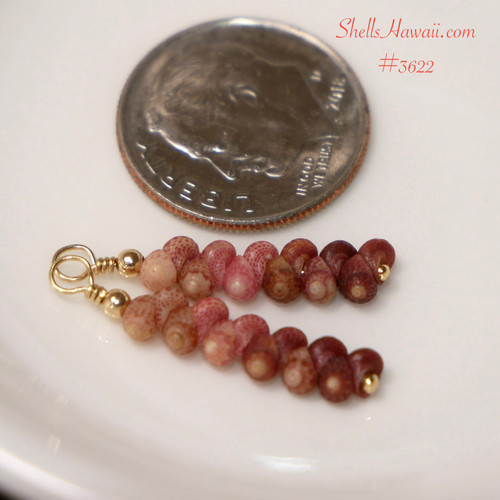 Dainty mini Hawaiian shell drop earrings with Kahelelani shells in burgundy, pink and natural ombre colors, lightweight 3/4" style finished with 14k gold filled hooks, Hawaiian shell jewelry gift for her under $100