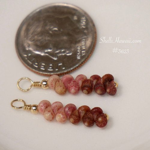 Dainty Kahelelani shell earrings hanging on gold filled hooks, ombre pink to burgundy tones in minimalist drop style, lightweight Hawaiian shell earrings gift for occasions under $100