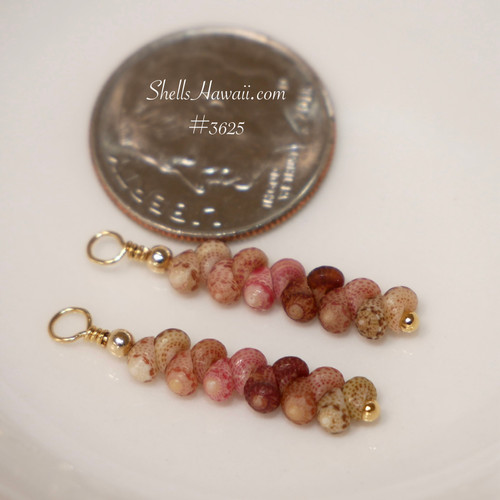 Kahelelani shell earrings from Kauai shown next to a coin for size comparison, small colorful Hawaiian shell earrings for gift, handmade Hawaiian shell jewelry with natural island tones