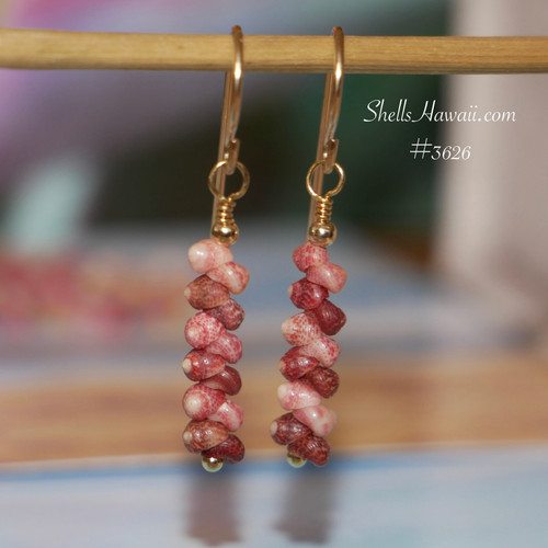 nier_3626
Dainty Hawaiian shell earrings with Kahelelani shells in soft pink and burgundy tones, minimalist drop style with gold filled hooks, gift for occasions under $100
