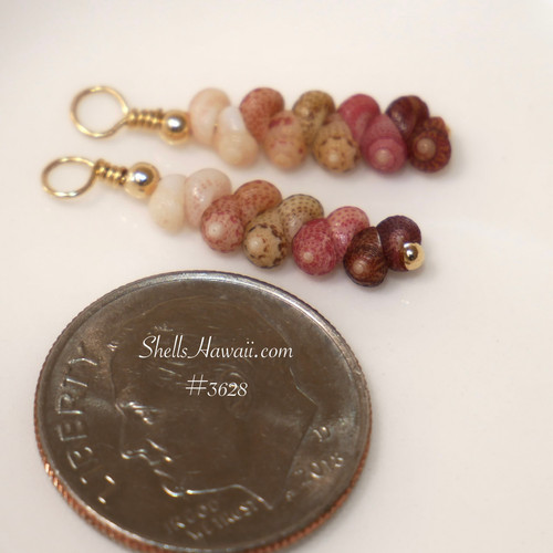 Kahelelani shell earrings from Kauai shown next to a coin for size comparison, soft mixed tones with burgundy, pink, green and off white kamoa, small Hawaiian shell earrings gift for her under $100