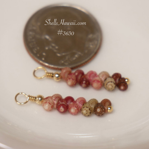 Mini Niihau shell earrings gift shown next to a coin for size comparison, Kahelelani shells in brown, green, pink and burgundy tones, small Hawaiian shell earrings under $100