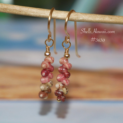 nier_3630
Dainty mini Niihau shell earrings with Kahelelani shells in warm earthy tones, minimalist drop style with gold filled hooks, tiny colorful seashell earrings gift for occasions under $100