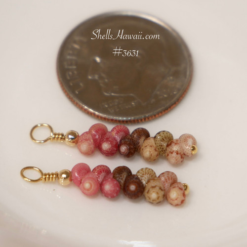 Mini Niihau shell earrings gift shown next to a coin for size comparison, Kahelelani shells in keokeʻo, pink, brown and green tones, small Hawaiian shell earrings under $100