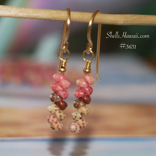 nier_3631
Dainty mini Niihau shell earrings with Kahelelani shells in soft natural tones, minimalist drop style with gold filled hooks, tiny colorful seashell earrings gift for occasions under $100
