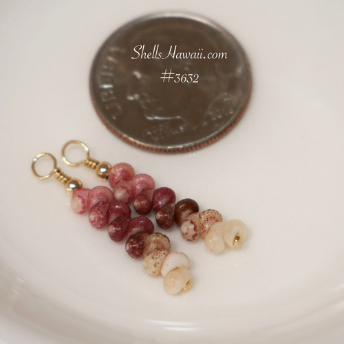Close up of tiny colorful Kahelelani shell earrings showing natural Niihau shells, minimalist drop style Hawaiian shell jewelry for everyday wear and small gift for her
