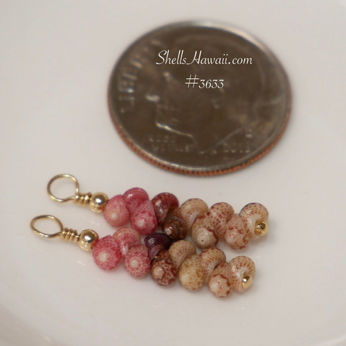 Close up of tiny Kahelelani shells used in handmade Niihau shell earrings, minimalist drop style Hawaiian jewelry for everyday wear and small gift for her