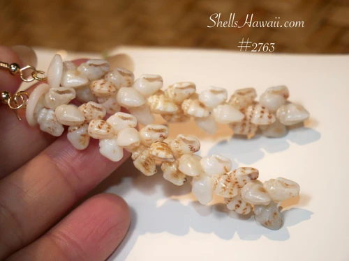 pikake niihau shell earrings gift from hawaiian sea, momi shells with uliuli blue and onikiniki spotted shells