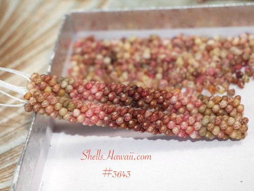 Ni'ihau Shell Earrings – Handcrafted Hawaiian Earrings with