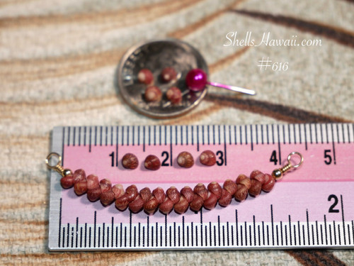 Close-up size comparison view of the curved floating shell pendant displayed beside a ruler, dime coin, and pink head pin showing the tiny scale and detailed craftsmanship of genuine burgundy Kahelelani shells from Kauaʻi.