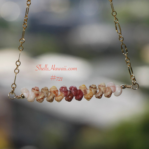 PD_723
Authentic Niʻihau shell necklace featuring rare size 15 Kahelelani shells arranged in a floating ombré design with off white keʻokeʻo, ice-cream kamoa, yellow kamoa, burgundy red ʻulaʻula, and ʻōmaʻomaʻo green tones suspended on delicate gold filled chain. Elegant handcrafted Hawaiian shell jewelry with refined tropical luxury style.