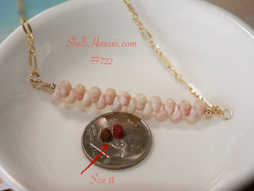 Rare Hawaiian shell necklace displayed on white dish featuring thick layered size 15 Kahelelani shells from Niʻihau in creamy ice-cream kamoa and soft keʻokeʻo tones accented with delicate gold filled chain. Elegant handcrafted island jewelry showcasing rare difficult-to-find Hawaiian shells.