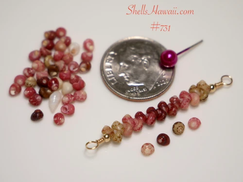 Coin guide photo showing the size of a handcrafted 1 1/8" Hawaiian Kahelelani shell necklace beside a U.S. dime, featuring genuine size 11 shells in green, soft pink, pink flower, and red burgundy colors on 14K gold filled wire.