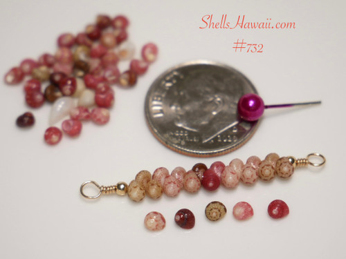 Coin guide photo showing the size of a handcrafted 1" Hawaiian shell dainty floating necklace beside a U.S. dime, featuring genuine size 11 Kahelelani shells in white, red, pink, brown, and green colors on 14K gold filled wire.